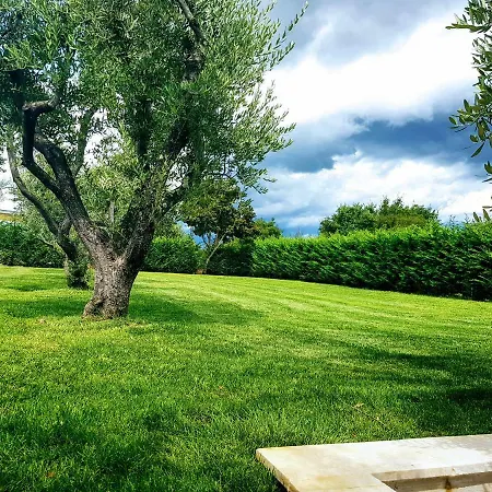 Villa Green Experience House Tar-Vabriga