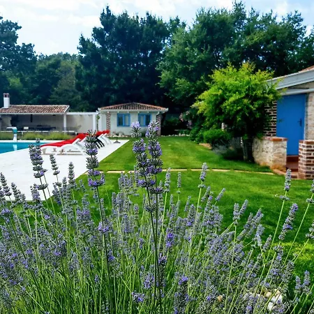 Villa Green Experience House *